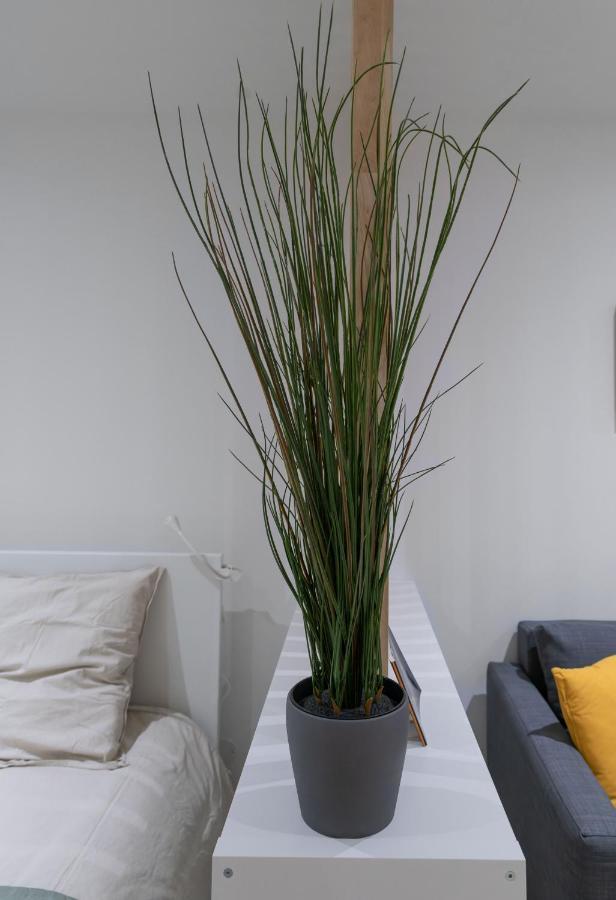 ※perrier Tranche※ Emplacement ⁕ Clermont-Ferrand